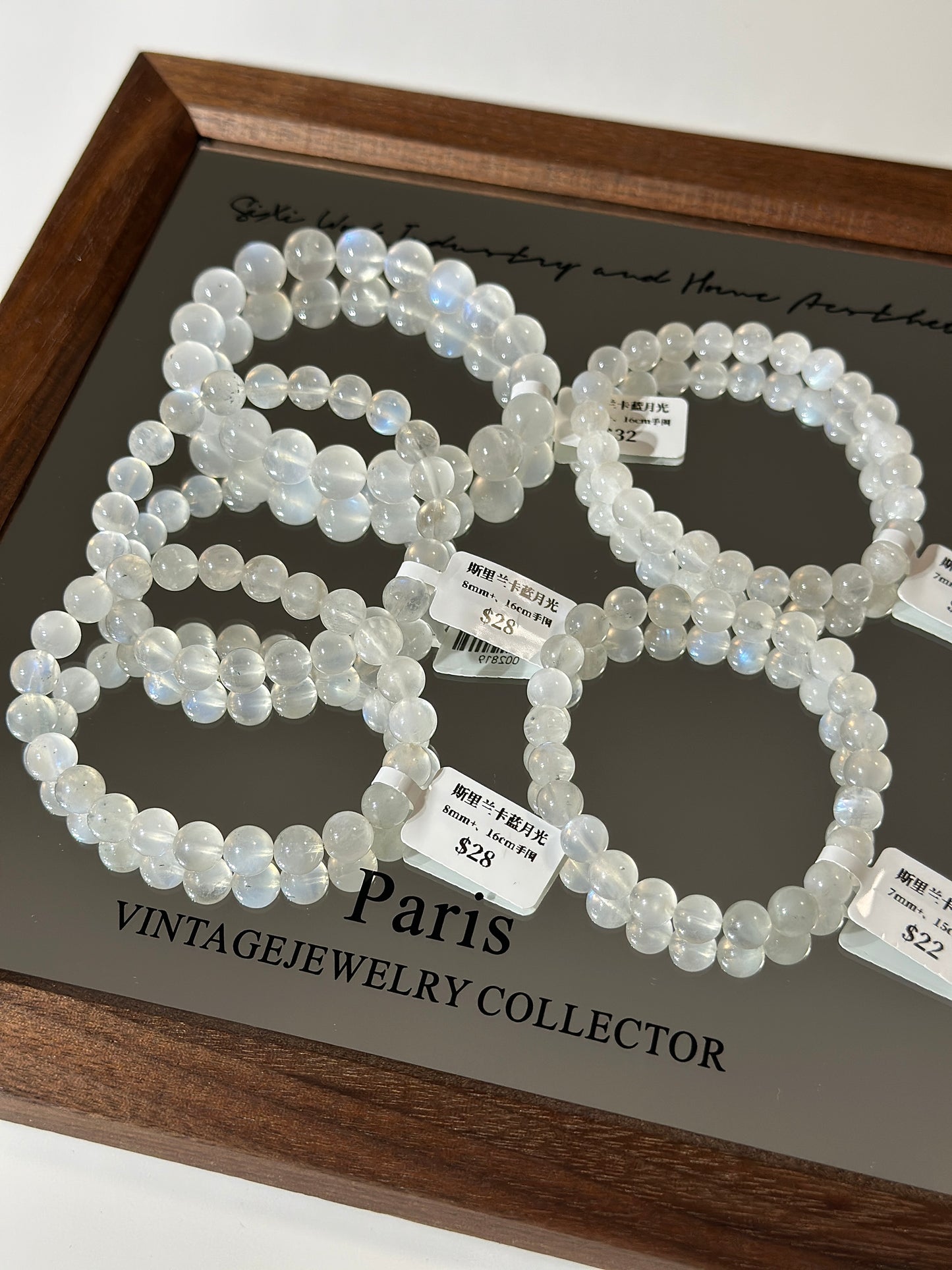 Sri Lanka Blue Moonlight