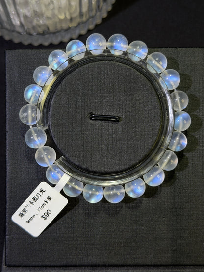 斯里兰卡蓝月光