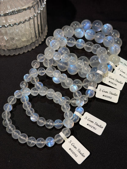 斯里兰卡蓝月光