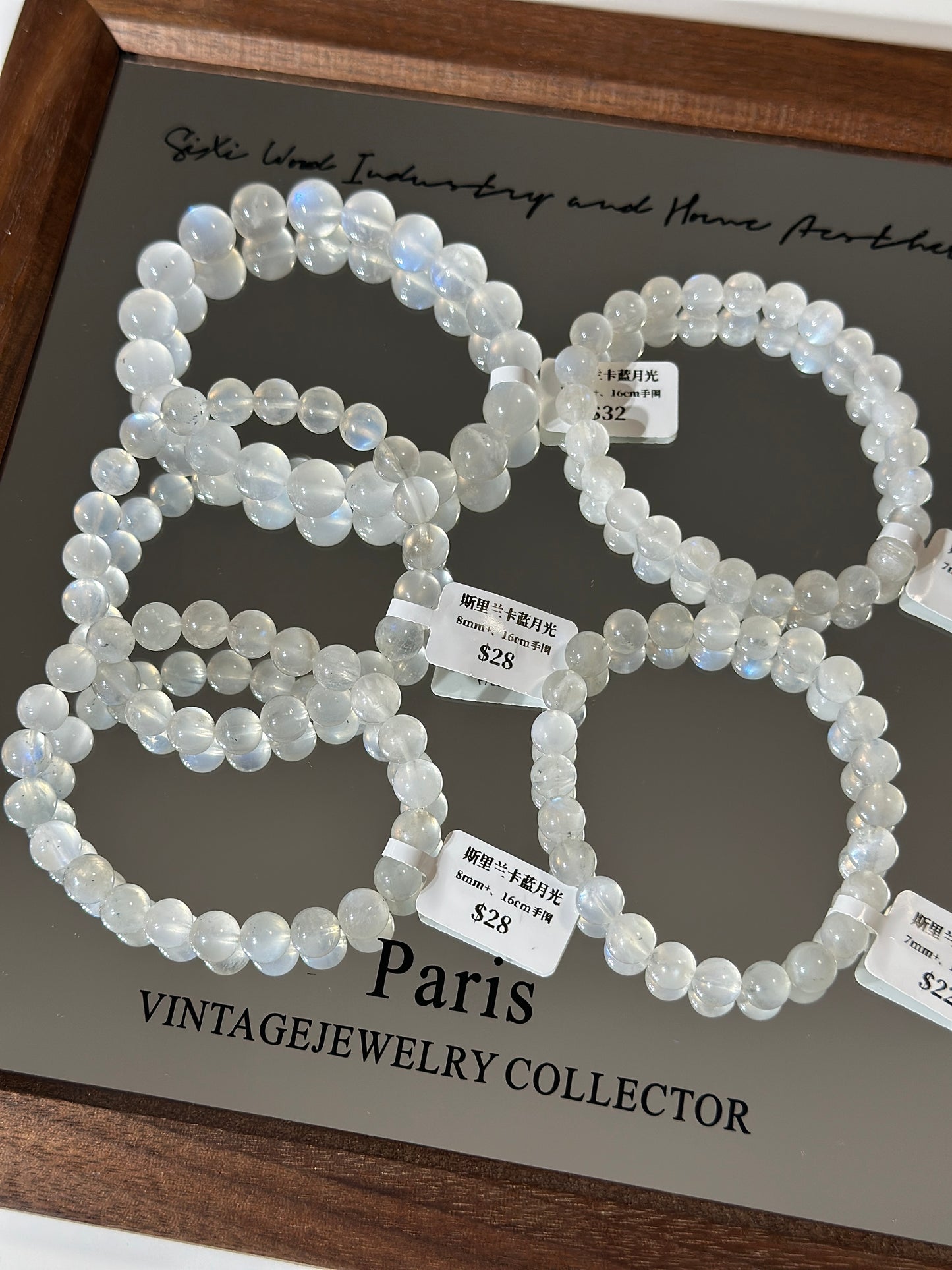 Sri Lanka Blue Moonlight