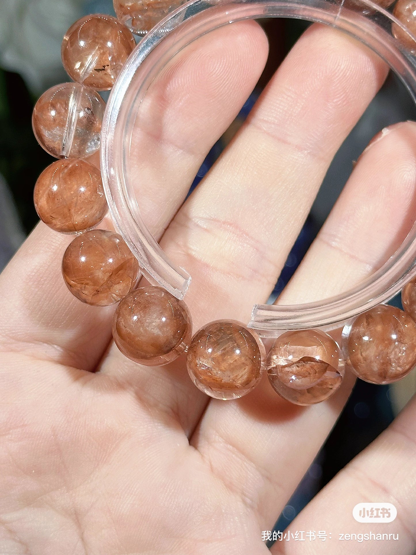 Dried rose red gum flower crystal