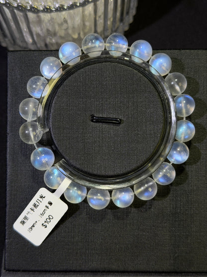 斯里兰卡蓝月光