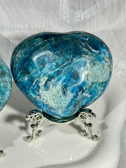 Blue phosphorus love handle