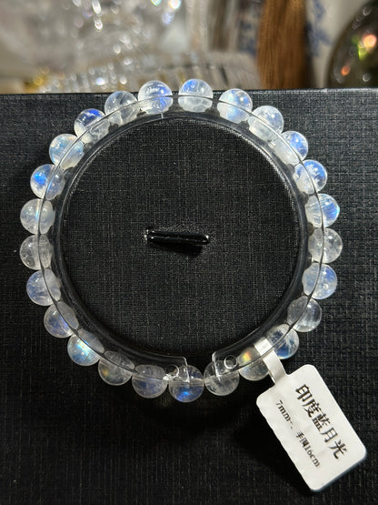 Indian Blue Moonlight