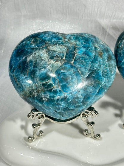 Blue phosphorus love handle